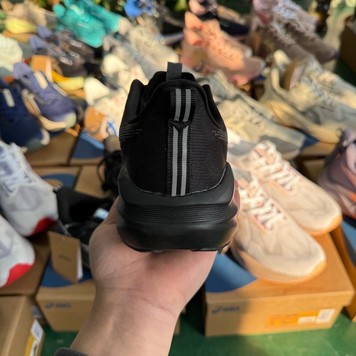 ASICS NOVABLAST 5 LE Running Shoes in Black - product image from the listing.