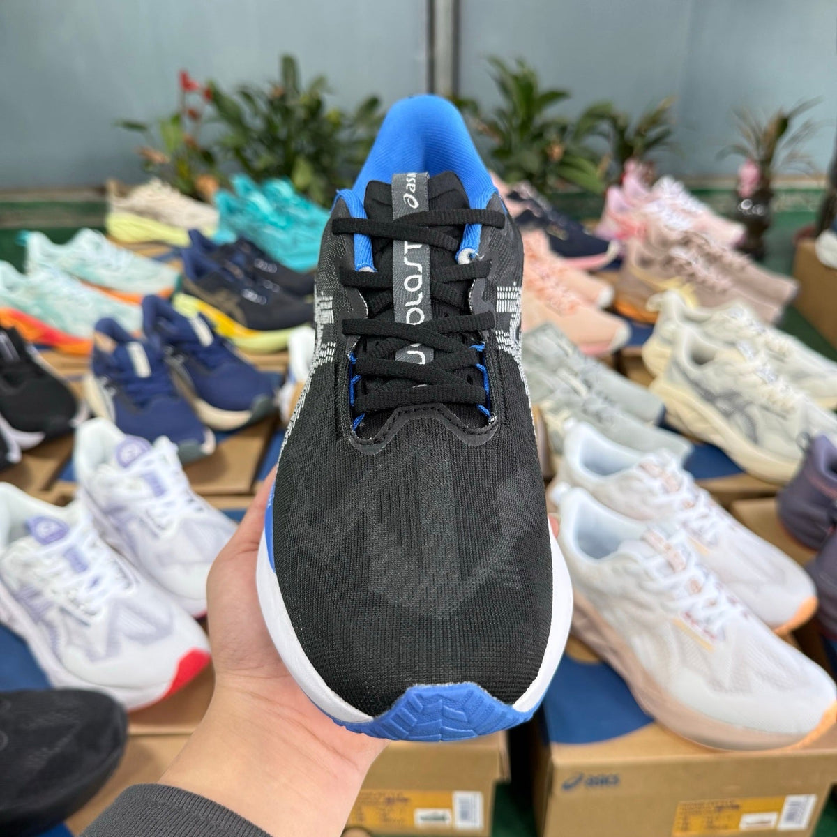 ASICS Novablast 5 LE Running Shoes in Black Blue - product image from the listing.