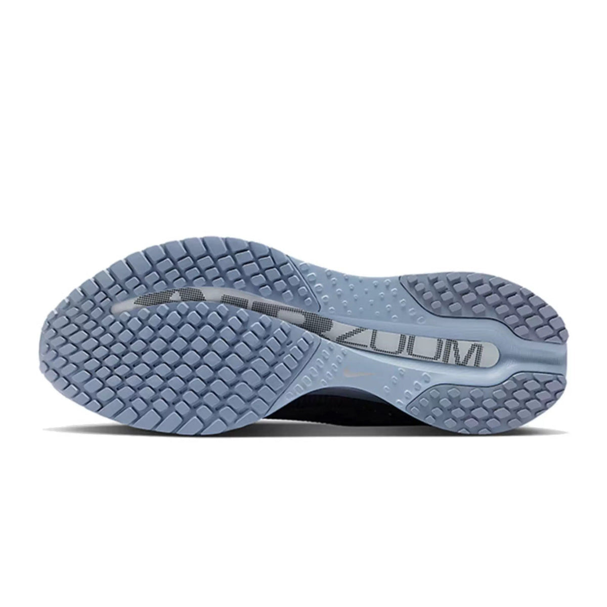 Nike Pegasus Premium Running Shoes in Black Grey HQ2592-006 - product image from the listing.