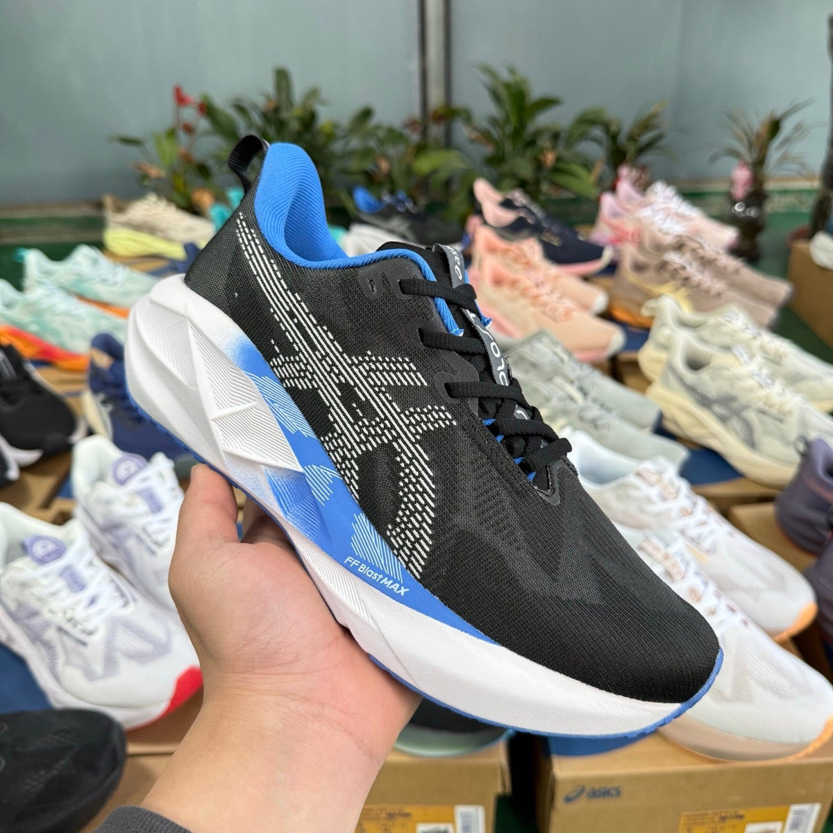 ASICS Novablast 5 LE Running Shoes in Black Blue - product image from the listing.