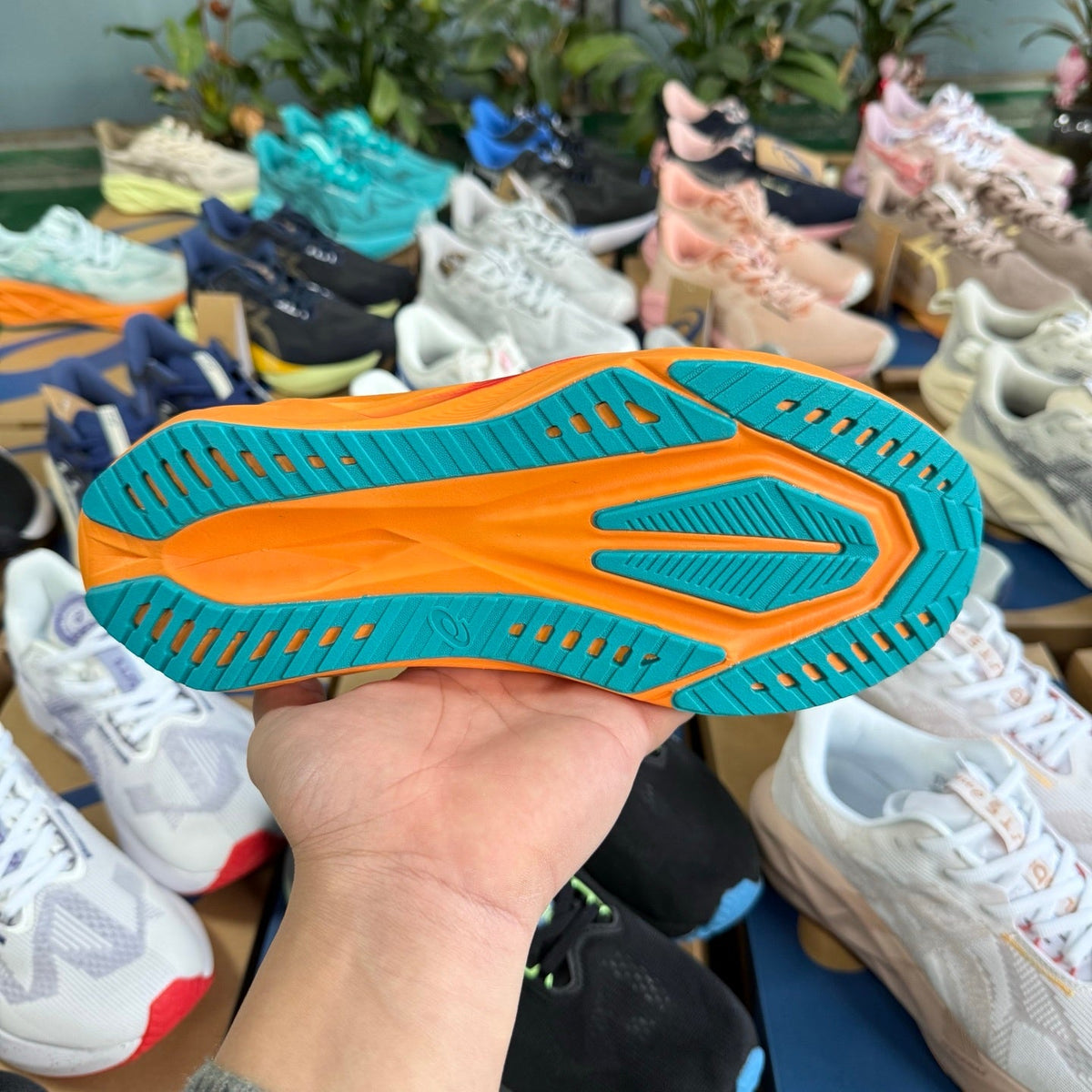 ASICS NOVABLAST 5 LE Running Shoes in White Orange - product image from the listing.