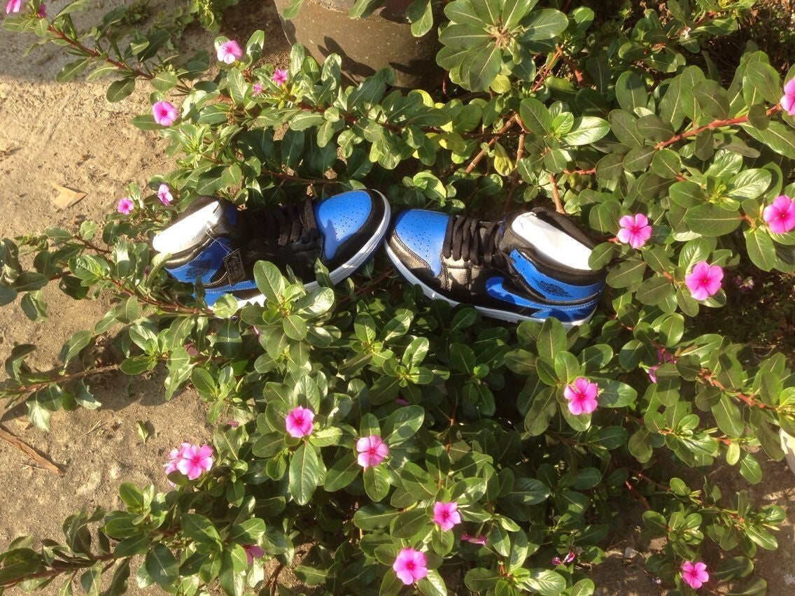 Jordan 1 High Basketball Sneakers in Blue and Black - product image from the listing.