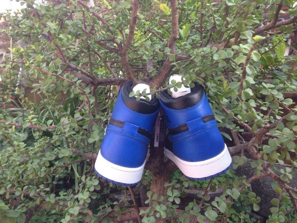 Jordan 1 High Basketball Sneakers in Blue and Black - product image from the listing.